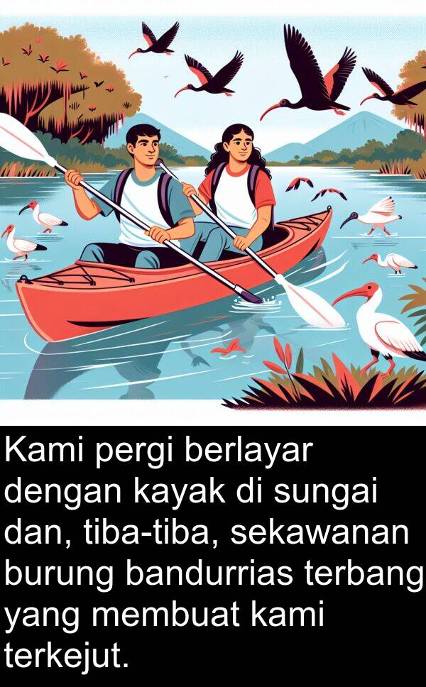 kayak: Kami pergi berlayar dengan kayak di sungai dan, tiba-tiba, sekawanan burung bandurrias terbang yang membuat kami terkejut.