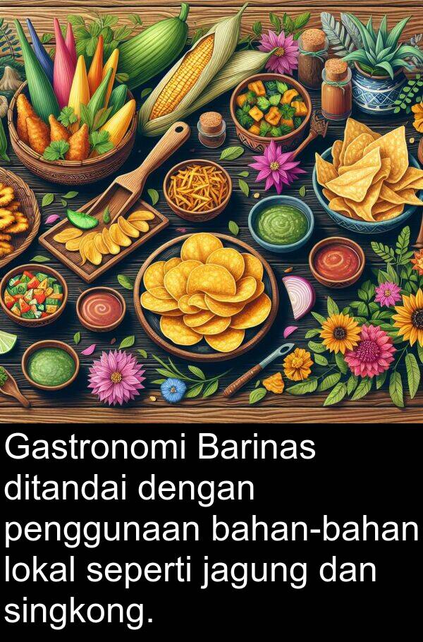 penggunaan: Gastronomi Barinas ditandai dengan penggunaan bahan-bahan lokal seperti jagung dan singkong.