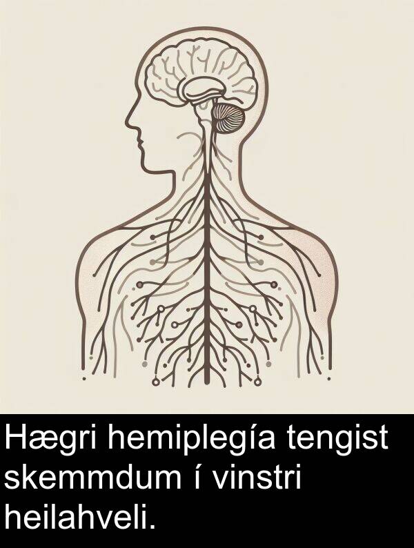 heilahveli: Hægri hemiplegía tengist skemmdum í vinstri heilahveli.