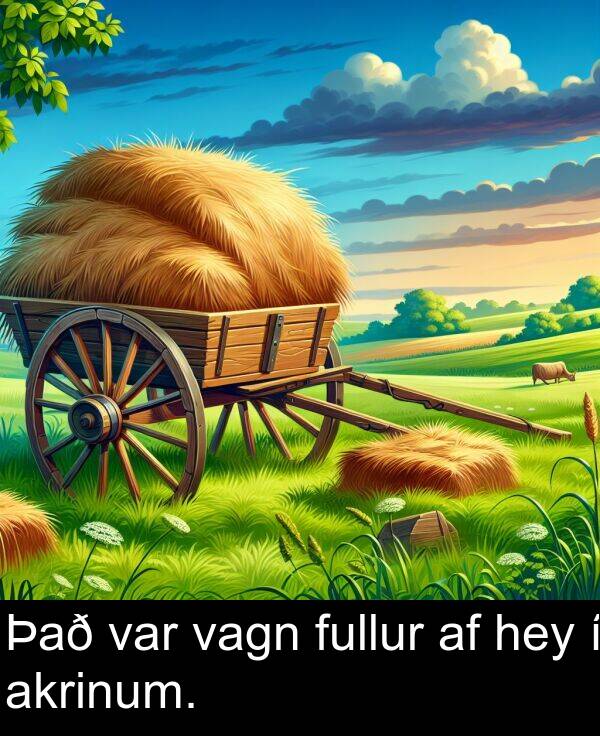 vagn: Það var vagn fullur af hey í akrinum.