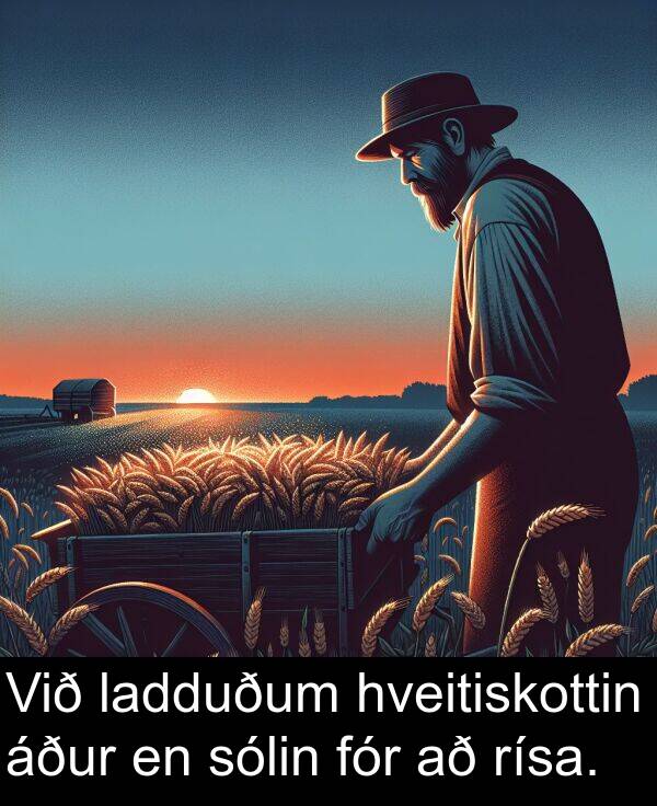 ladduðum: Við ladduðum hveitiskottin áður en sólin fór að rísa.