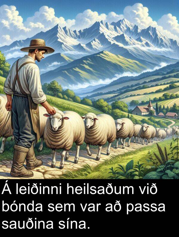 passa: Á leiðinni heilsaðum við bónda sem var að passa sauðina sína.