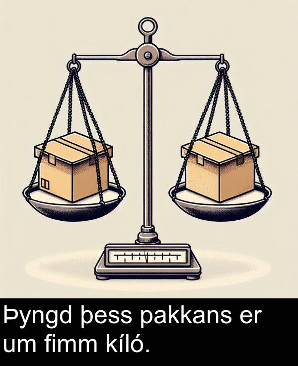 pakkans: Þyngd þess pakkans er um fimm kíló.