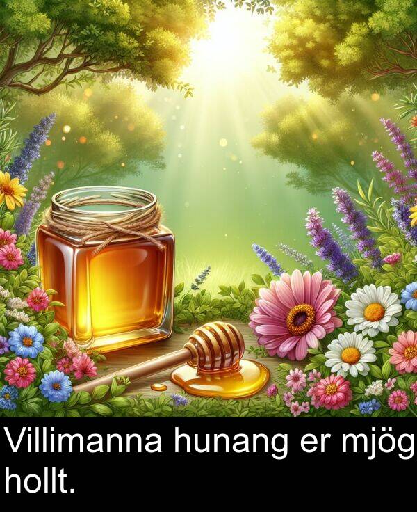 hunang: Villimanna hunang er mjög hollt.