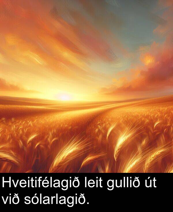 leit: Hveitifélagið leit gullið út við sólarlagið.