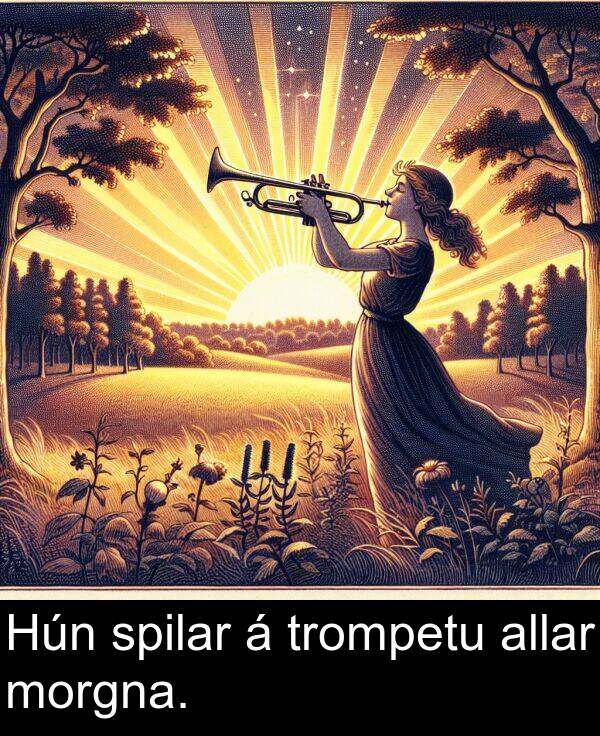 allar: Hún spilar á trompetu allar morgna.