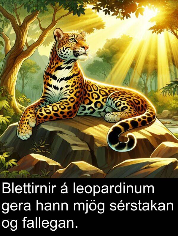 sérstakan: Blettirnir á leopardinum gera hann mjög sérstakan og fallegan.