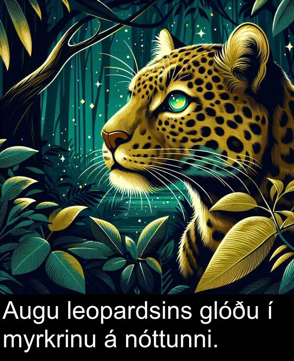 leopardsins: Augu leopardsins glóðu í myrkrinu á nóttunni.