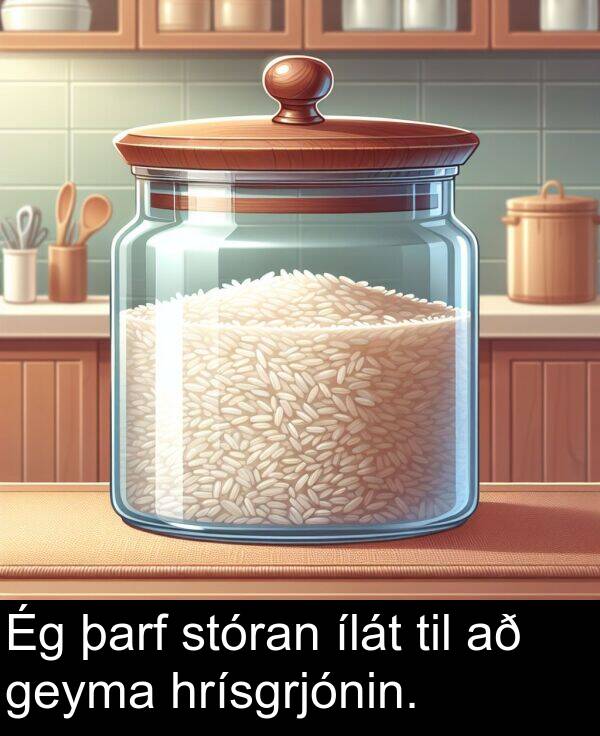 ílát: Ég þarf stóran ílát til að geyma hrísgrjónin.