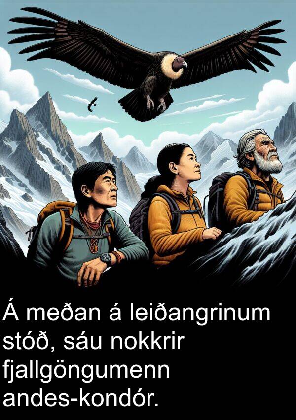 leiðangrinum: Á meðan á leiðangrinum stóð, sáu nokkrir fjallgöngumenn andes-kondór.