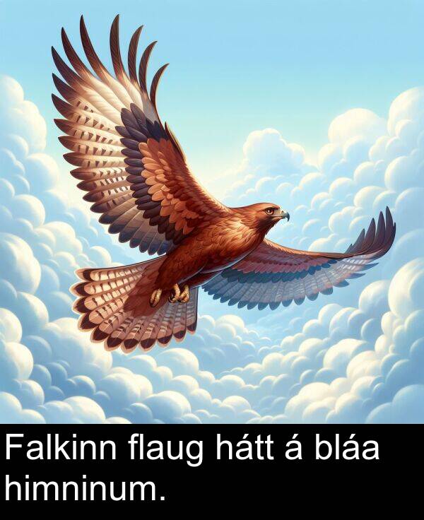 hátt: Falkinn flaug hátt á bláa himninum.