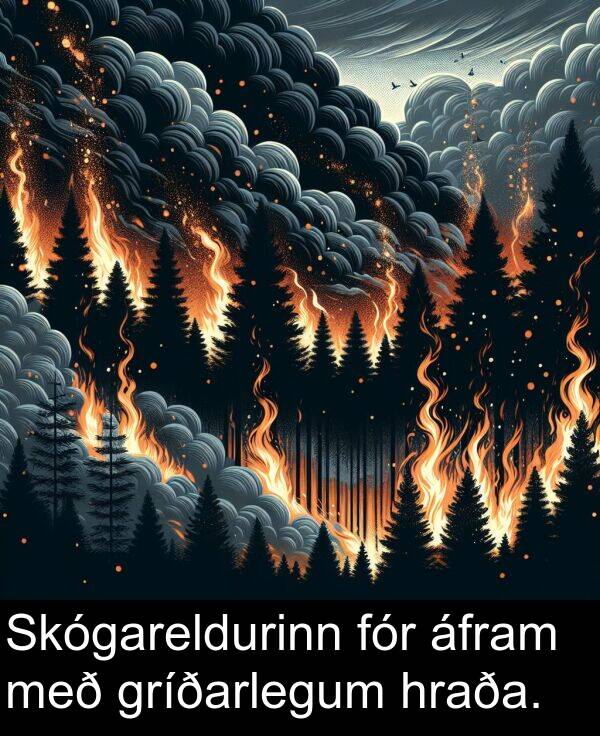 áfram: Skógareldurinn fór áfram með gríðarlegum hraða.