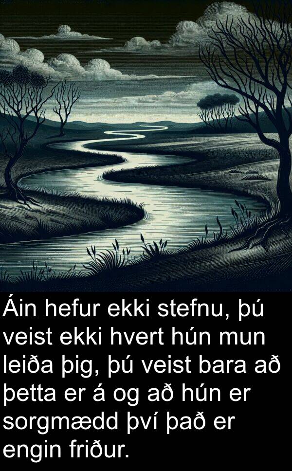 leiða: Áin hefur ekki stefnu, þú veist ekki hvert hún mun leiða þig, þú veist bara að þetta er á og að hún er sorgmædd því það er engin friður.