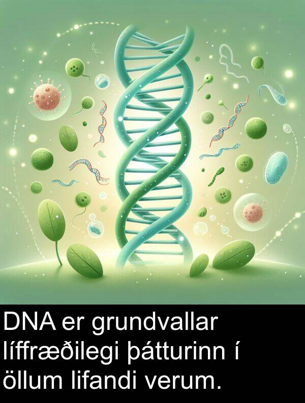 lifandi: DNA er grundvallar líffræðilegi þátturinn í öllum lifandi verum.