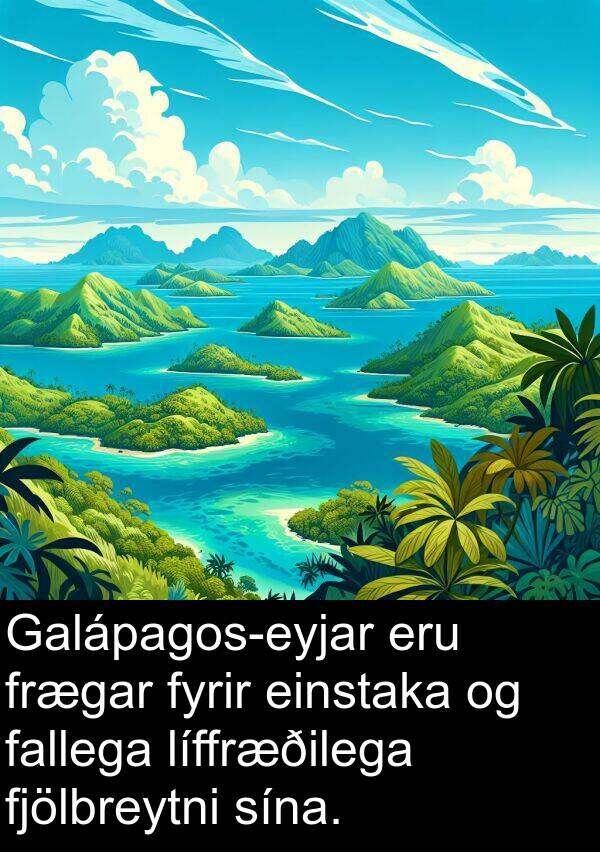 líffræðilega: Galápagos-eyjar eru frægar fyrir einstaka og fallega líffræðilega fjölbreytni sína.