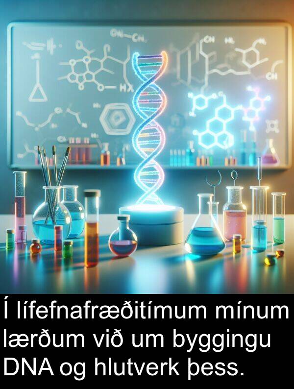 lífefnafræðitímum: Í lífefnafræðitímum mínum lærðum við um byggingu DNA og hlutverk þess.