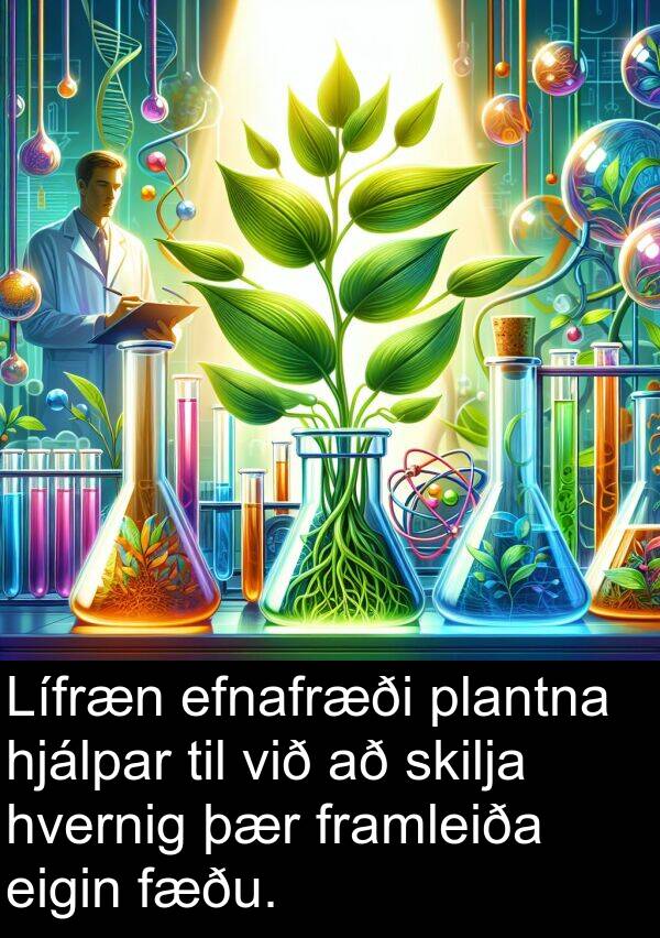 plantna: Lífræn efnafræði plantna hjálpar til við að skilja hvernig þær framleiða eigin fæðu.