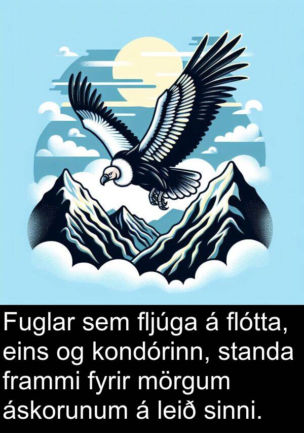 leið: Fuglar sem fljúga á flótta, eins og kondórinn, standa frammi fyrir mörgum áskorunum á leið sinni.