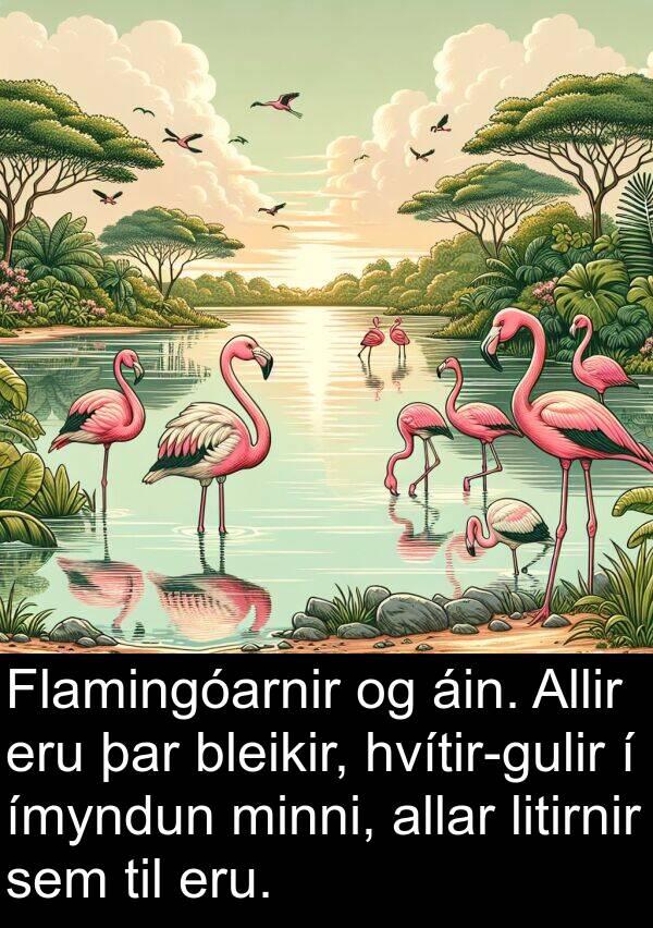 ímyndun: Flamingóarnir og áin. Allir eru þar bleikir, hvítir-gulir í ímyndun minni, allar litirnir sem til eru.