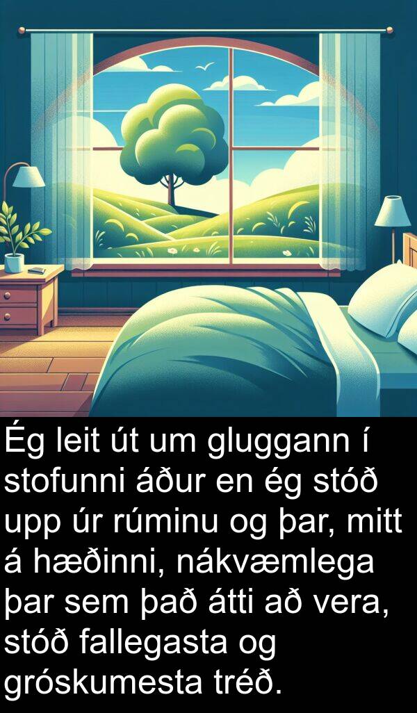 leit: Ég leit út um gluggann í stofunni áður en ég stóð upp úr rúminu og þar, mitt á hæðinni, nákvæmlega þar sem það átti að vera, stóð fallegasta og gróskumesta tréð.