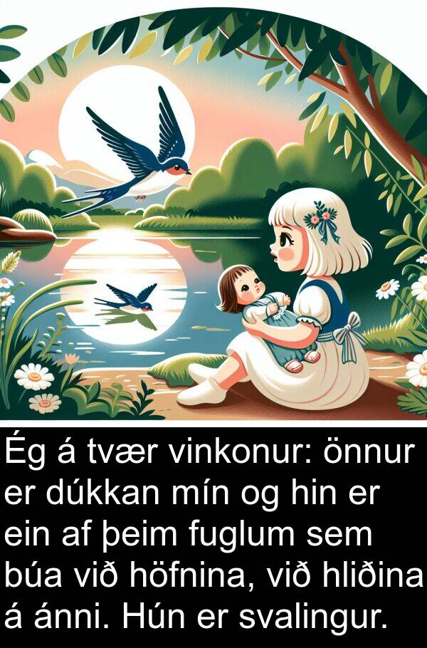 þeim: Ég á tvær vinkonur: önnur er dúkkan mín og hin er ein af þeim fuglum sem búa við höfnina, við hliðina á ánni. Hún er svalingur.