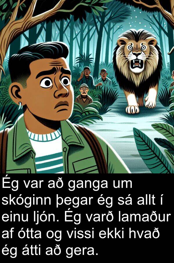 lamaður: Ég var að ganga um skóginn þegar ég sá allt í einu ljón. Ég varð lamaður af ótta og vissi ekki hvað ég átti að gera.