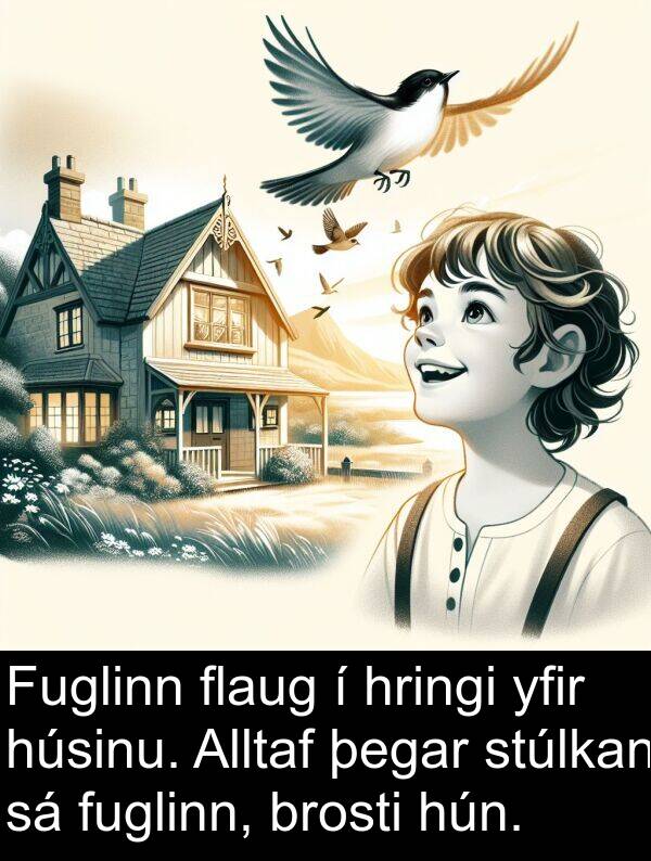 stúlkan: Fuglinn flaug í hringi yfir húsinu. Alltaf þegar stúlkan sá fuglinn, brosti hún.