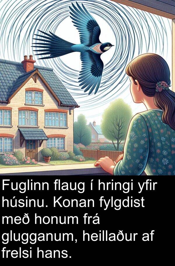 heillaður: Fuglinn flaug í hringi yfir húsinu. Konan fylgdist með honum frá glugganum, heillaður af frelsi hans.