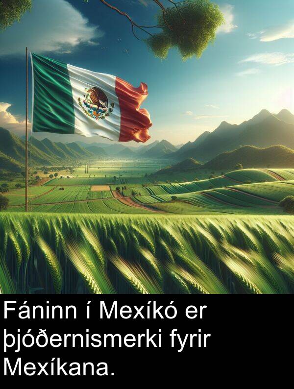 þjóðernismerki: Fáninn í Mexíkó er þjóðernismerki fyrir Mexíkana.