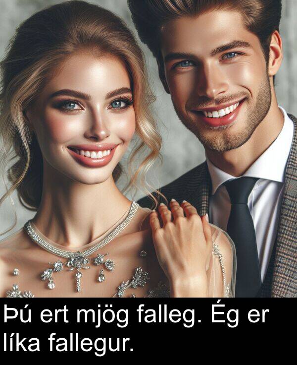 fallegur: Þú ert mjög falleg. Ég er líka fallegur.