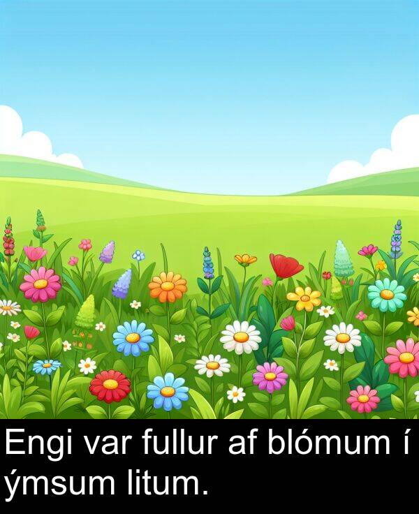 ýmsum: Engi var fullur af blómum í ýmsum litum.