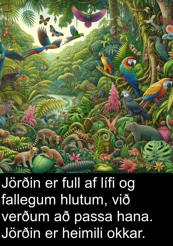 passa: Jörðin er full af lífi og fallegum hlutum, við verðum að passa hana. Jörðin er heimili okkar.