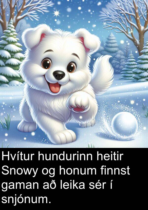 leika: Hvítur hundurinn heitir Snowy og honum finnst gaman að leika sér í snjónum.