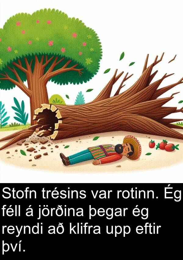 jörðina: Stofn trésins var rotinn. Ég féll á jörðina þegar ég reyndi að klifra upp eftir því.