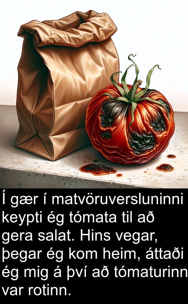 salat: Í gær í matvöruversluninni keypti ég tómata til að gera salat. Hins vegar, þegar ég kom heim, áttaði ég mig á því að tómaturinn var rotinn.