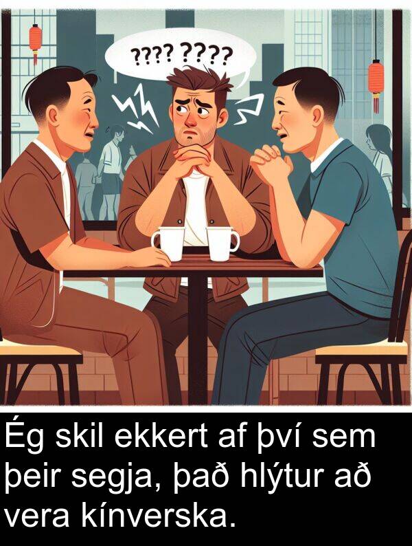 segja: Ég skil ekkert af því sem þeir segja, það hlýtur að vera kínverska.