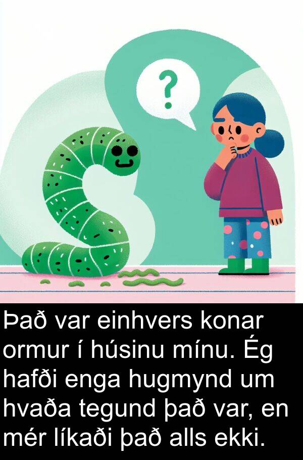 einhvers: Það var einhvers konar ormur í húsinu mínu. Ég hafði enga hugmynd um hvaða tegund það var, en mér líkaði það alls ekki.