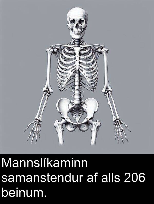 samanstendur: Mannslíkaminn samanstendur af alls 206 beinum.