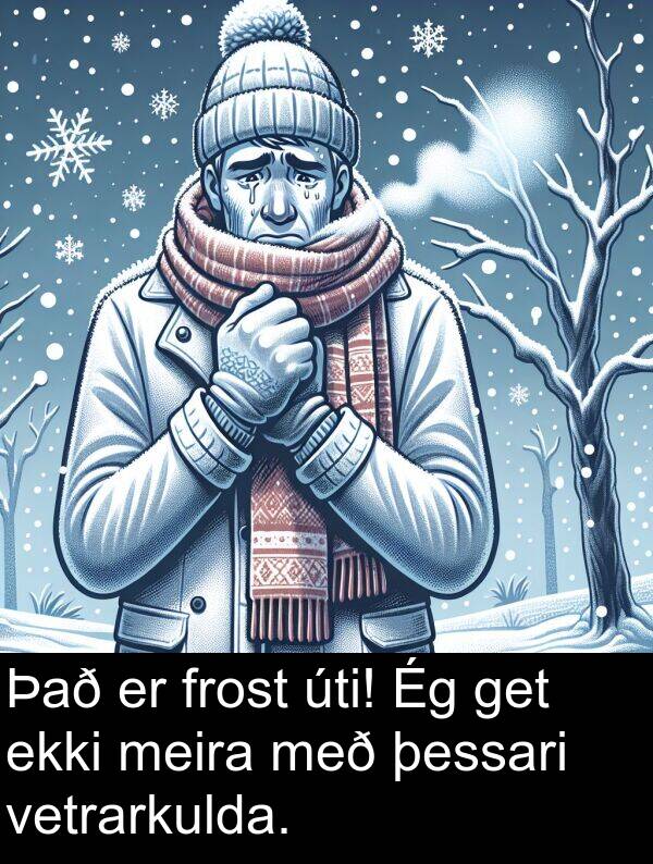 úti: Það er frost úti! Ég get ekki meira með þessari vetrarkulda.