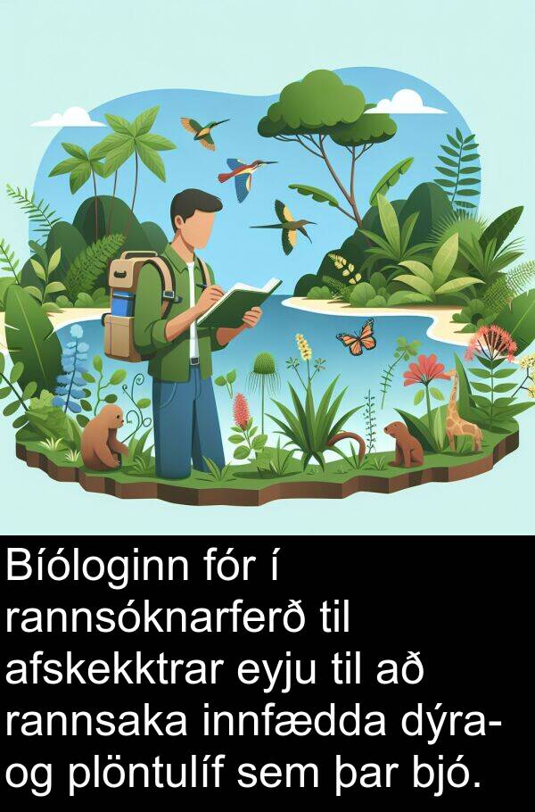 bjó: Bíóloginn fór í rannsóknarferð til afskekktrar eyju til að rannsaka innfædda dýra- og plöntulíf sem þar bjó.