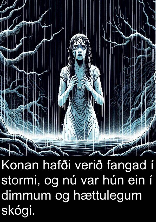 fangad: Konan hafði verið fangad í stormi, og nú var hún ein í dimmum og hættulegum skógi.