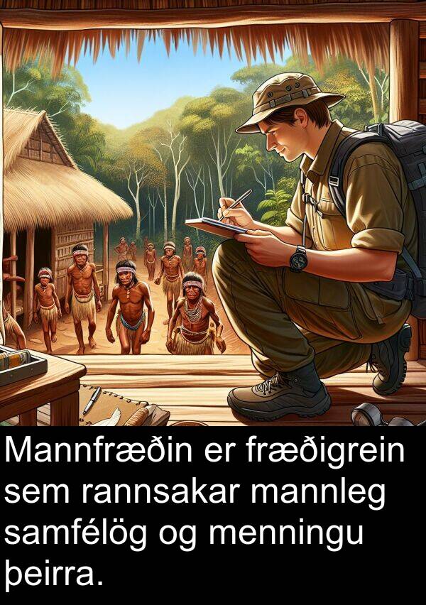 samfélög: Mannfræðin er fræðigrein sem rannsakar mannleg samfélög og menningu þeirra.