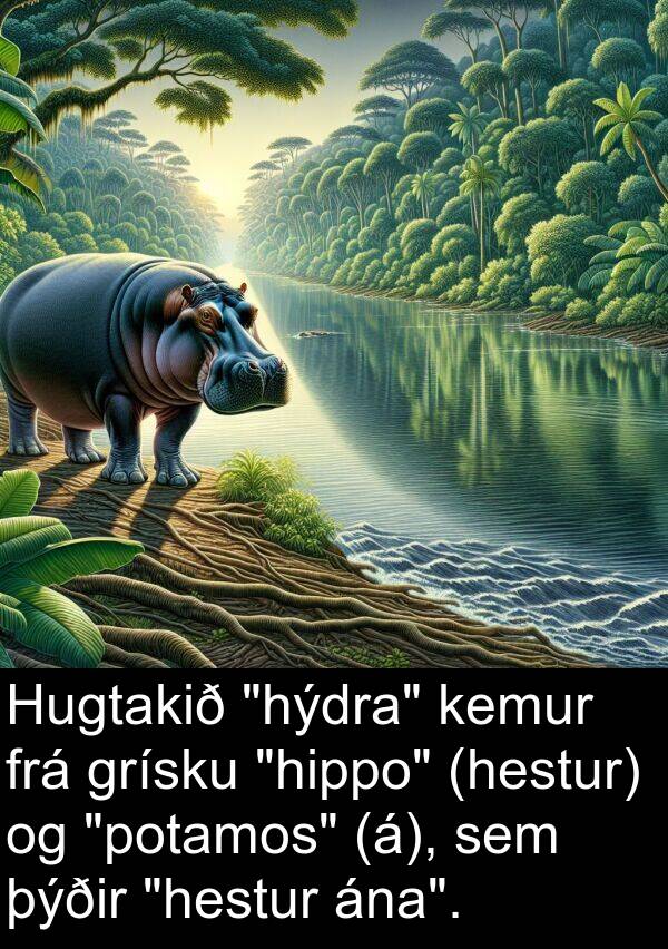 þýðir: Hugtakið "hýdra" kemur frá grísku "hippo" (hestur) og "potamos" (á), sem þýðir "hestur ána".