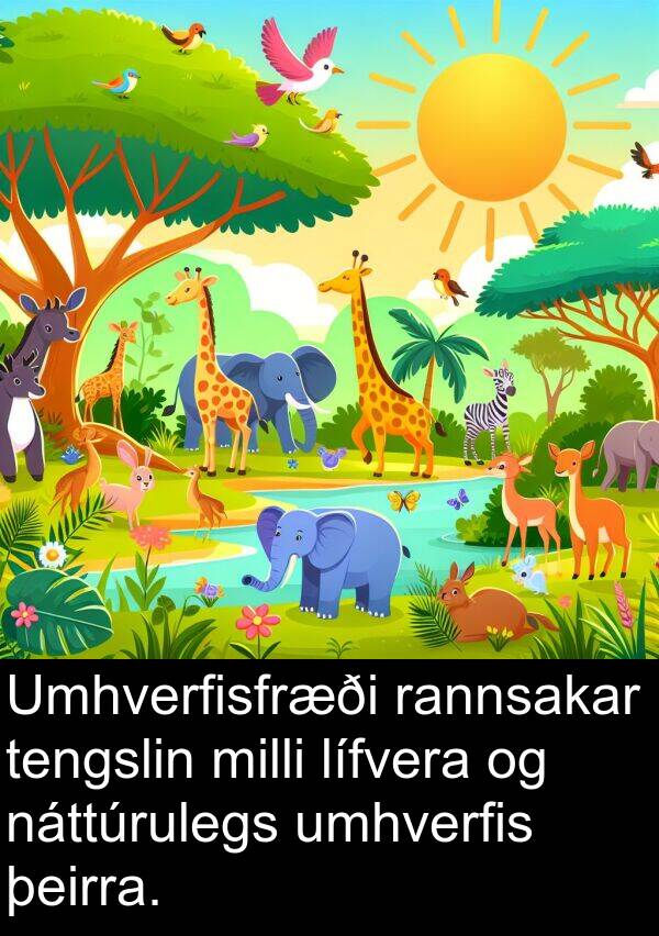 umhverfis: Umhverfisfræði rannsakar tengslin milli lífvera og náttúrulegs umhverfis þeirra.