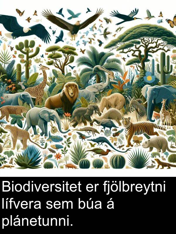 plánetunni: Biodiversitet er fjölbreytni lífvera sem búa á plánetunni.