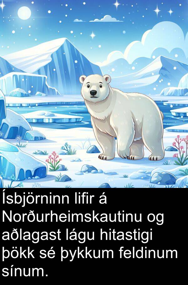 lágu: Ísbjörninn lifir á Norðurheimskautinu og aðlagast lágu hitastigi þökk sé þykkum feldinum sínum.