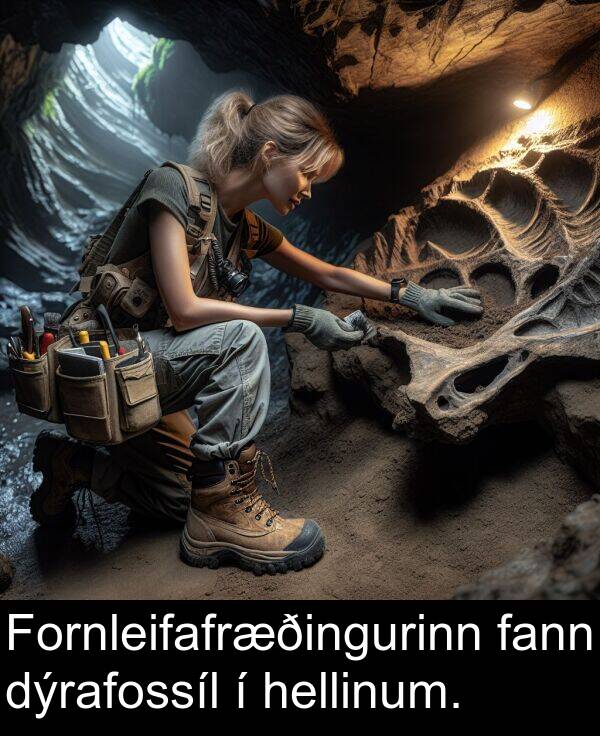 fann: Fornleifafræðingurinn fann dýrafossíl í hellinum.