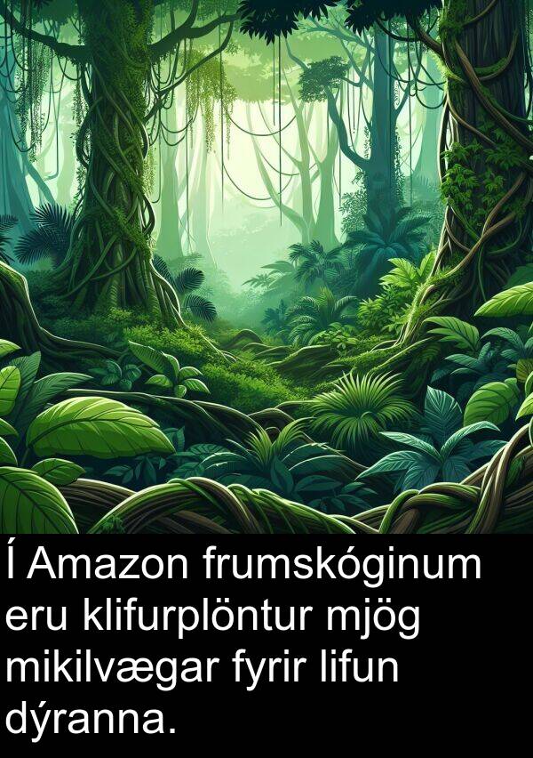 klifurplöntur: Í Amazon frumskóginum eru klifurplöntur mjög mikilvægar fyrir lifun dýranna.