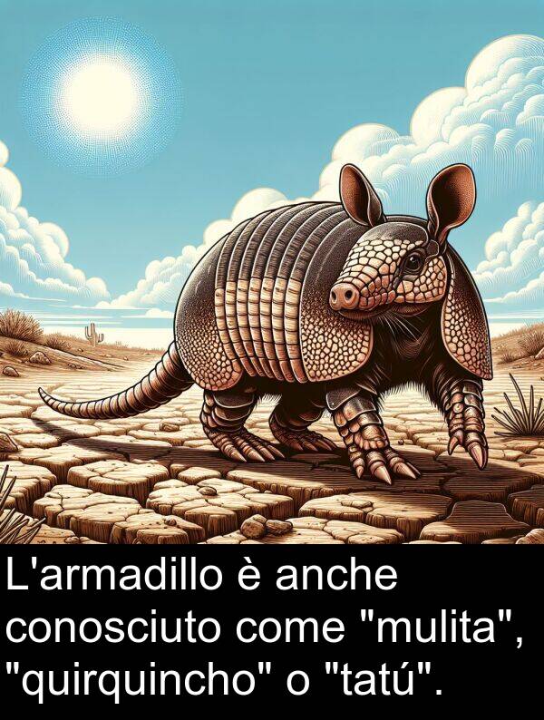 come: L'armadillo è anche conosciuto come "mulita", "quirquincho" o "tatú".