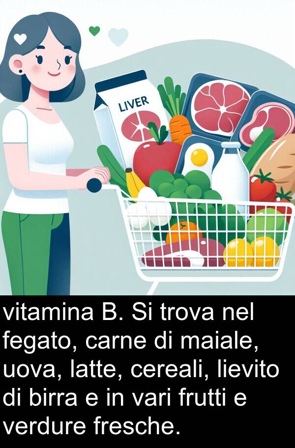 vari: vitamina B. Si trova nel fegato, carne di maiale, uova, latte, cereali, lievito di birra e in vari frutti e verdure fresche.